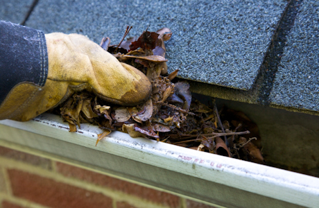 Gutter Cleaning Services in NY and CT